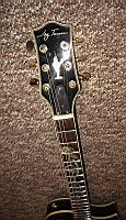 Jay Turser Black Beauty serpent inlay headstock & fretboard.jpg
